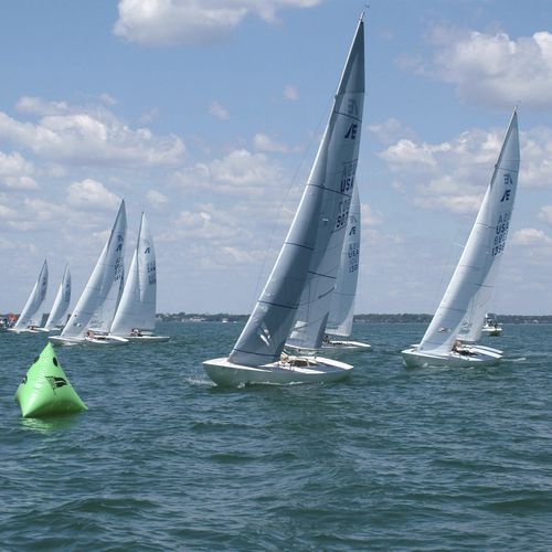 Grand-voile - AP-2 - Doyle - foc / spinnaker / pour quillard de sport monotype