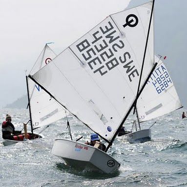 Grand-voile - SCHOOL - Olimpic Sails - pour dériveur / Optimist