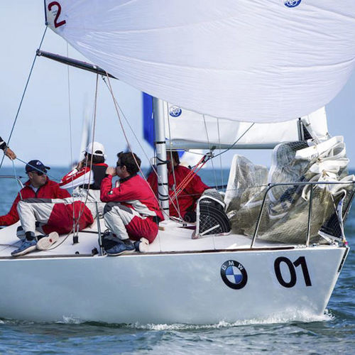 Spinnaker - J24 - Olimpic Sails - pour quillard de sport monotype / coupe tri-radiale / J24