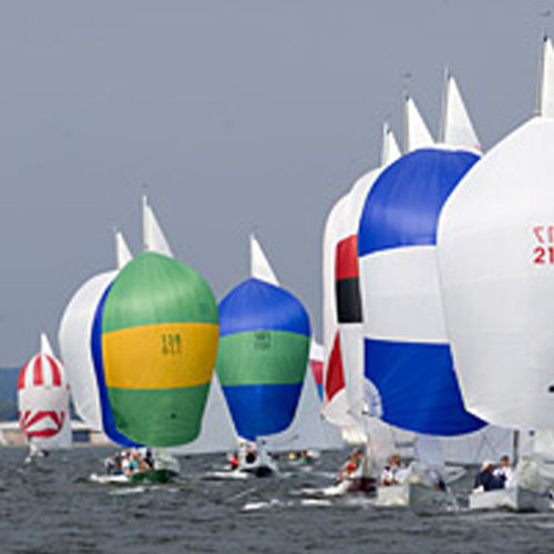 Spinnaker - SHIELDS  - Quantum Sails - pour voilier monotype / coupe horizontale