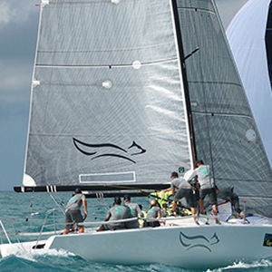 Foc -  FUSION M  - Quantum Sails - pour quillard de sport monotype / en carbone / Melges 32
