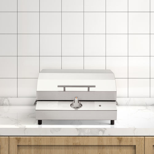 Barbecue marin électrique - G2 - Kenyon International, Inc. - portable