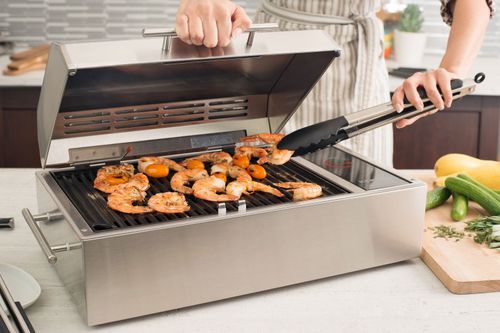 Barbecue marin électrique - FRONTIER - Kenyon International, Inc.