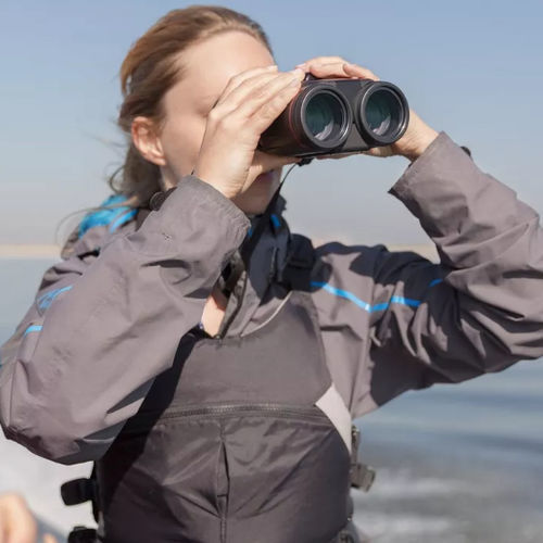 Jumelles étanche - L IS WP - Canon Binocular - 10x42