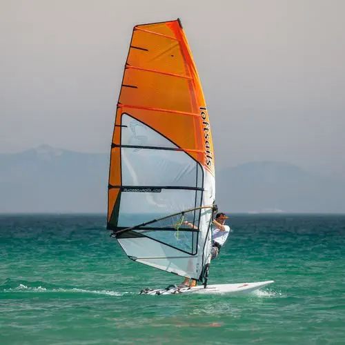 Loft Sails Racing blade 7.8 m² 2015 d'occasion