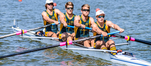 Bateau d'aviron de course - F31 - Filippi - quatre de pointe