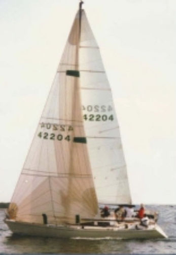 Grand-voile - Neilpryde Sails - voile d'avant / pour voilier de régate / coupe tri-radiale