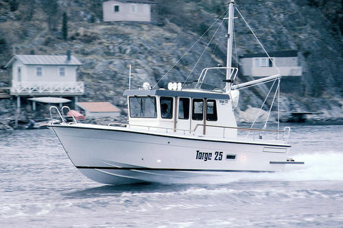 Walkaround in-bord - 25 MkII - Targa - avec timonerie / à fly / de pêche sportive