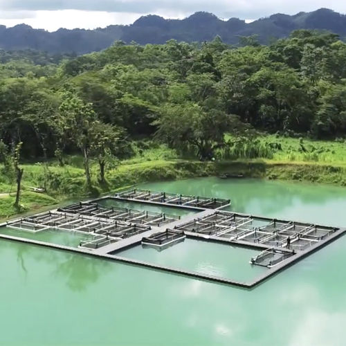 Plateforme flottante - Aquaculture - CANDOCK - pour l'aquaculture