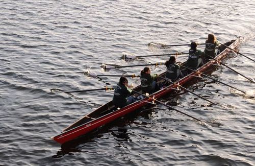 Bateau d'aviron cinq de couple - C5x- BBG - Baumgarten Bootsbau