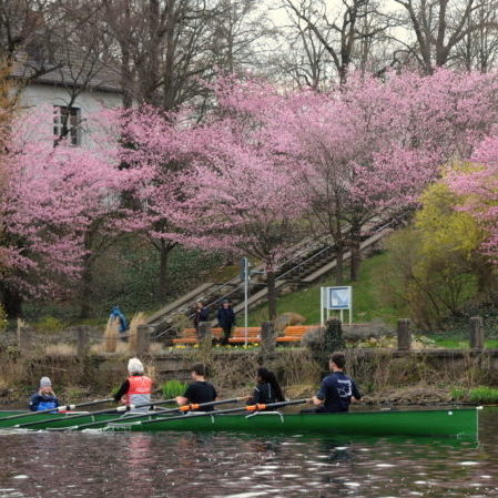 Bateau d'aviron de course - C4x+4+ Kombi - Baumgarten Bootsbau - de randonnée / de loisir / quatre de pointe