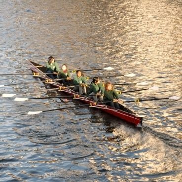 Bateau d'aviron de course - C5x- Karlisch - Baumgarten Bootsbau - de randonnée / de loisir / quatre de couple