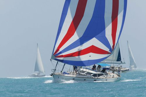 Tissu à voile tissé - NYLITE / MAXILITE - Contender BV - ripstop / spinnaker