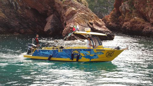 Bateau de support pour la plongée - 850 - MOGGARO ALUMINIUM YACHTS - in-bord / hors-bord / diesel