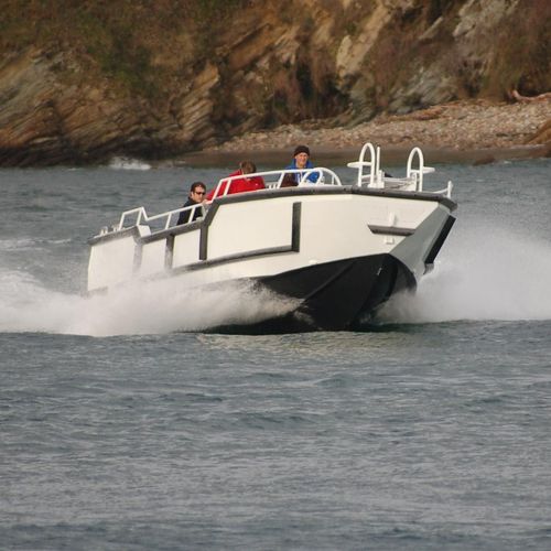 Bateau de travail - 900 TENDER - MOGGARO ALUMINIUM YACHTS - stern-drive / diesel / en aluminium
