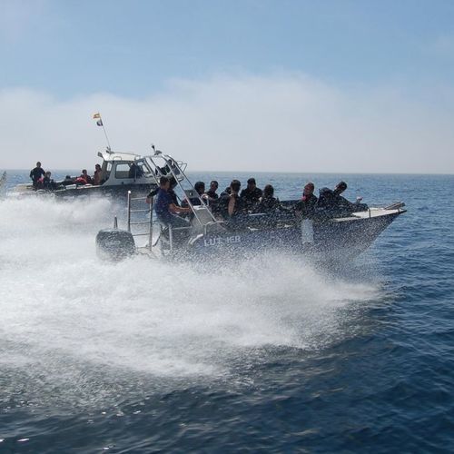 Bateau de support pour la plongée - M650 - MOGGARO ALUMINIUM YACHTS - hors-bord / en aluminium