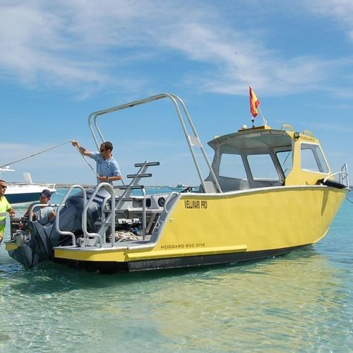 Bateau de support pour la plongée - M850 - MOGGARO ALUMINIUM YACHTS - in-bord / en aluminium