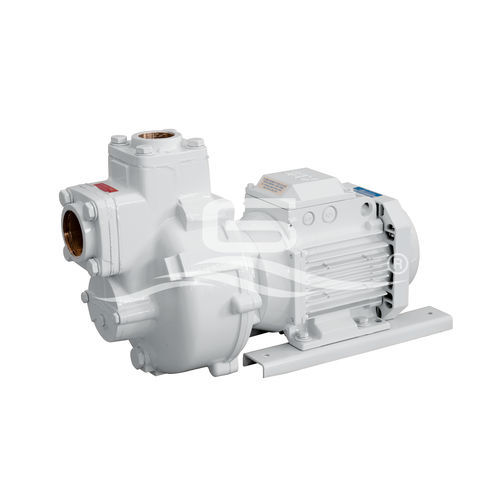 Pompe pour bateau - BMA-G - GIANNESCHI PUMPS & BLOWERS - de transfert / pour eaux grises / à rotor