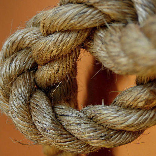 Cordage multiusage - MANILA - Langman Touwfabriek | LangmanRopes - amarre / toron / pour voilier traditionnel