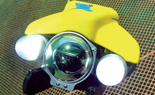 ROV sous-marin d'intervention - Pro 4 IP65 BASE - VideoRay - pour inspection de cage à poissons / pour l'aquaculture