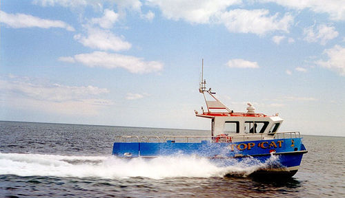 Bateau de pêche professionnelle - ALN 029 ‘Top Cat’ - Alnmaritec - catamaran / in-bord