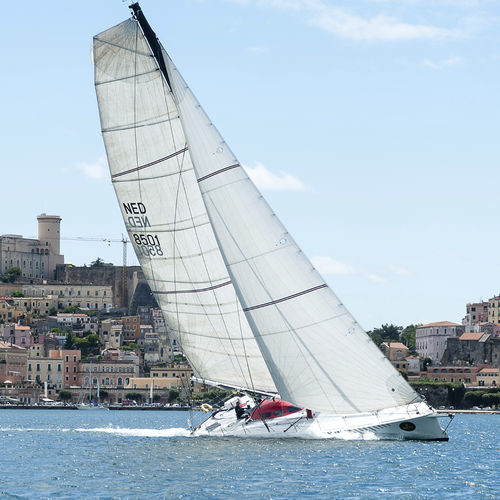 Grand-voile - Ullman Sails - pour voilier de régate / coupe horizontale / coupe radiale
