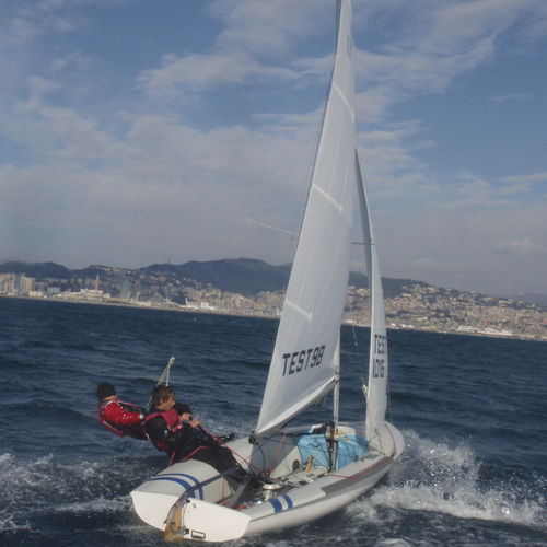 Foc - Ullman Sails - pour dériveur / coupe horizontale / 470