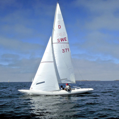 Foc - Ullman Sails - pour quillard de sport monotype / Dragon