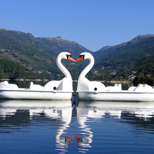 Bateau à pédales 4 places - GRAN CISNE - AVENTURAS AQUATICAS - LA NORIA - commercial / pour sociétés de location / sans entretien
