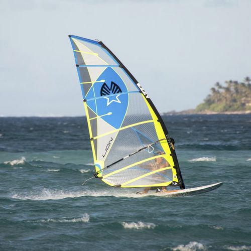 Planche à voile mistral + ezzy - Sports et activités nautiques Saint