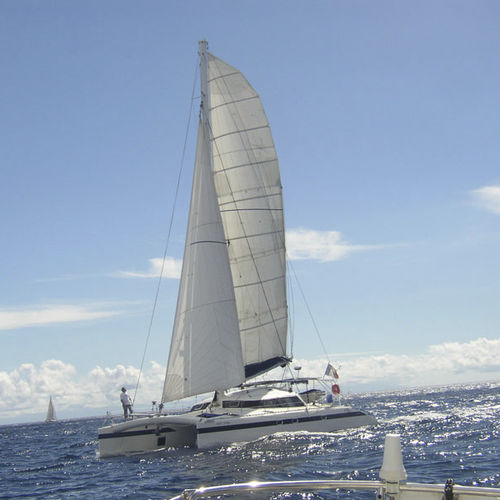 Catamaran - FREYDIS 49' - Tournier Marine - de grande croisière / mât carbone / sail-drive