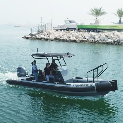 Bateau de surveillance - 7. M D-Tube - ASIS BOATS - bateau de pêche professionnelle / hors-bord / en aluminium