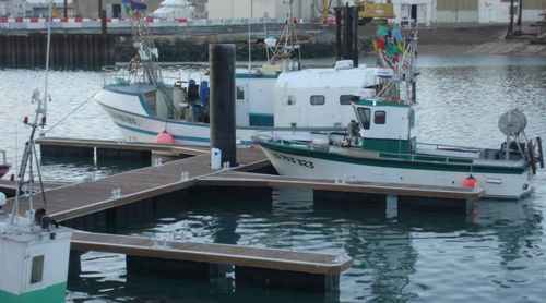 Ponton flottant - ATLANTIC MARINE - modulable / d'amarrage / pour la pêche