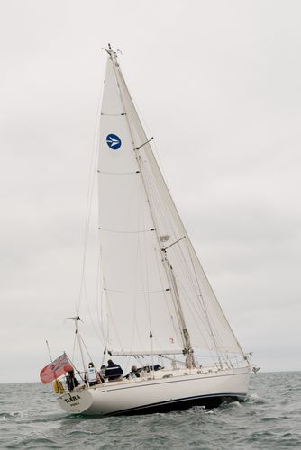 Grand-voile - Short  - Jeckells - pour voilier de croisière / coupe horizontale / en Dacron®