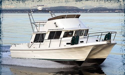 Vedette catamaran - PACIFIC 3200 - Sea Sport, Inc - in-bord / à fly / 6 couchages