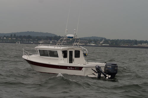 Cabin-cruiser hors-bord - SPORTSMAN 2200 - Sea Sport, Inc - hard-top / de pêche sportive / 4 couchages