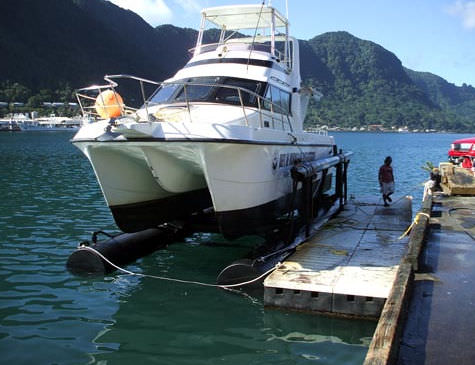 Ascenseur pour catamaran - C1000 - Airberth - flottant