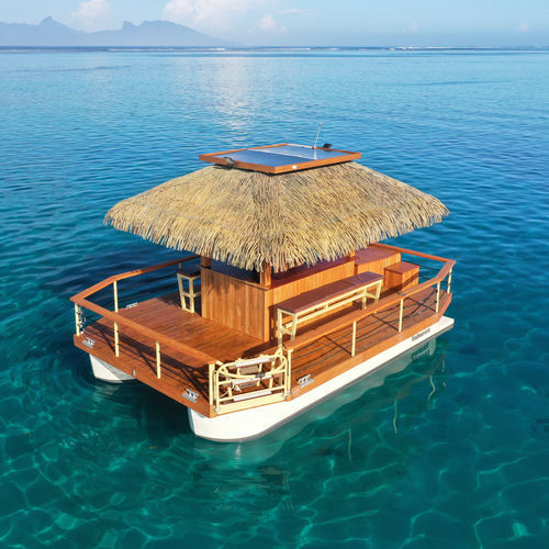 Bateau à passagers - SANDBAR 650 - BORD A BORD - catamaran / hors-bord / en aluminium