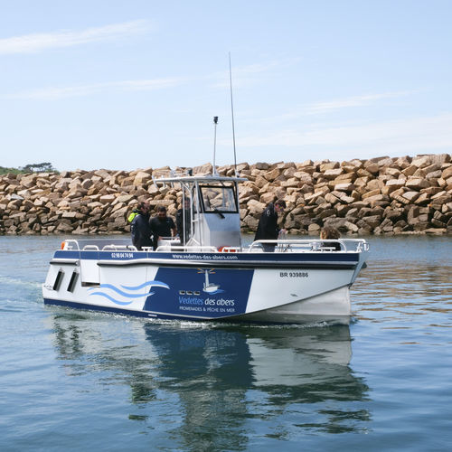 Bateau à passagers - PIXSEA PRO 800  - BORD A BORD - hors-bord / en aluminium / Bureau Veritas