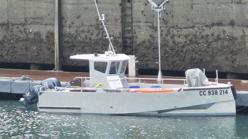 Bateau de pêche-promenade hors-bord - Amarès REVERSE 800 Caseyeur - BORD A BORD - bimoteur / avec timonerie / multiusage