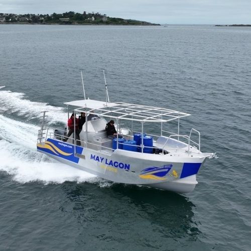 Bateau de travail - PIXSEA 890 PRO - BORD A BORD - bateau à passagers / bateau de transport de personnel / hors-bord