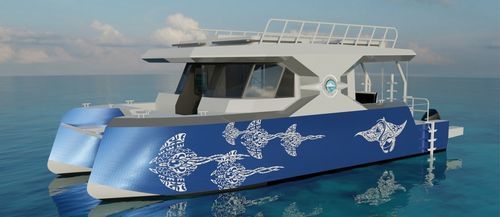 Bateau à passagers - ARGOCAT 1200 - BORD A BORD - bateau de support pour la plongée / catamaran / hors-bord