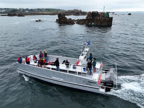 Navire spécial de support pour la plongée - OdySea 11.00 - BORD A BORD - catamaran / en aluminium