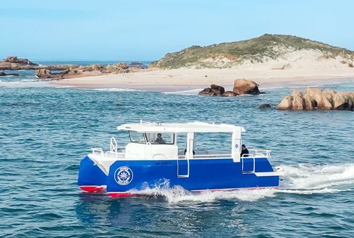 Bateau de support pour la plongée - PIXSEACAT 900 - BORD A BORD - catamaran / hors-bord / en aluminium