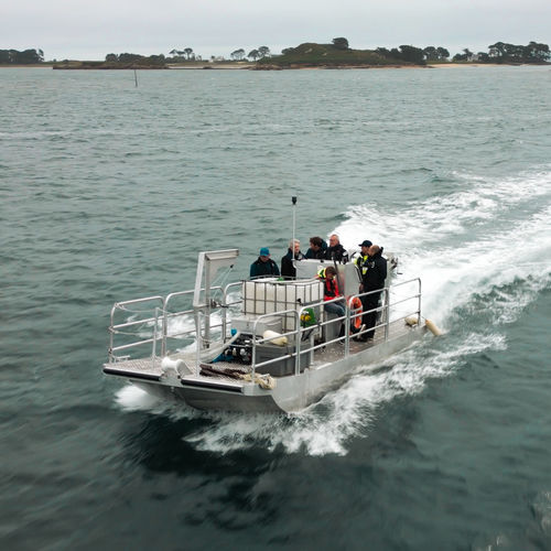 Bateau de travail - BARGE 750 MULTISERVICES - BORD A BORD - bateau touristique / bateau utilitaire / barge de travail