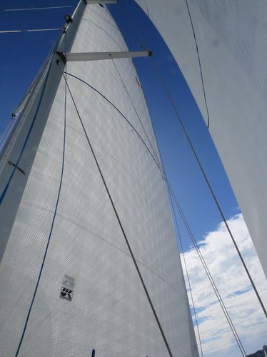 Grand-voile - Endure  - UK-Halsey International - pour voilier de croisière / en polyester / en Dyneema®