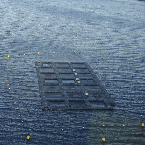 Ponton flottant - Fish farming - Cubisystem - d'amarrage / pour l'aquaculture / en plastique