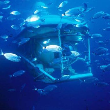 Sous-marin de tourisme - LARGE  - Silvercrest Submarines