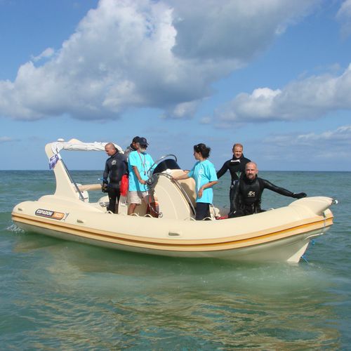 Bateau pneumatique hors-bord - 625 CL - ESPADON CONCEPT - bimoteur / semi-rigide / à console centrale