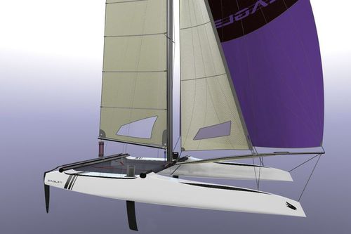 Catamaran de sport pour raid côtier - 20 C - Eagle Catamarans - double / double trapèze / spinnaker asymétrique